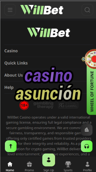 Casino Asunción - Paraguay's Capital Casino-casinoorder.vip